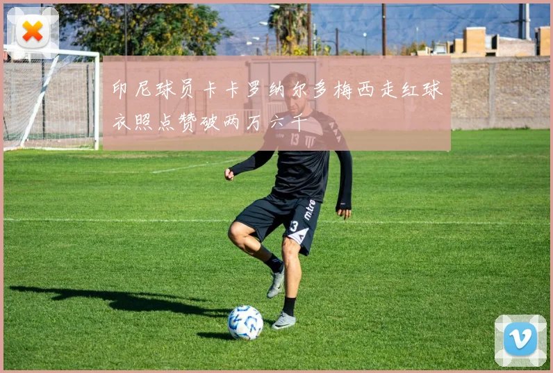 印尼球员卡卡罗纳尔多梅西走红球衣照点赞破两万六千